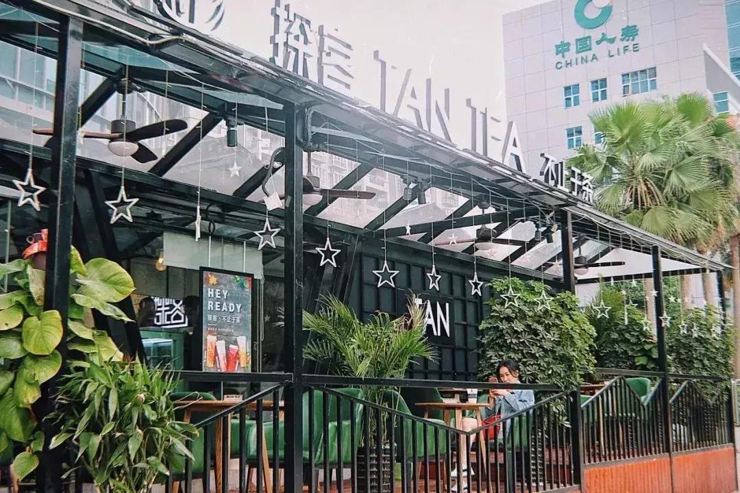 广西网红茶,爆款网红茶