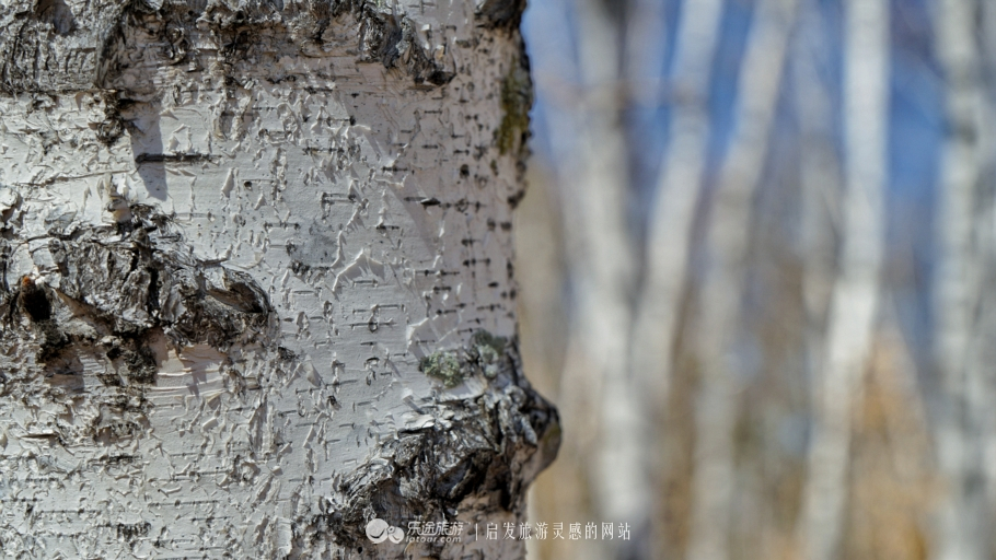朴树冷门却很好听的歌,朴树适合西藏的歌