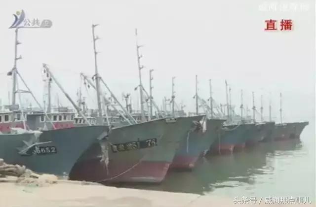 威海封海海鲜,威海封海时间禁止卖哪些海鲜