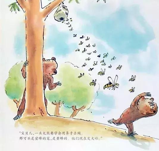 小熊和最好的爸爸长大了读后感,小熊和最好的爸爸一起长大了