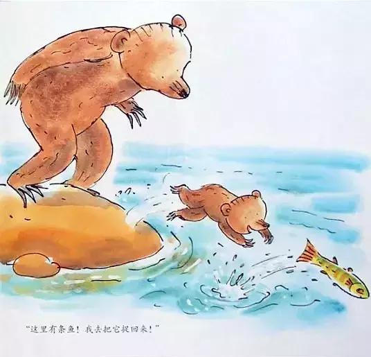 小熊和最好的爸爸长大了读后感,小熊和最好的爸爸一起长大了