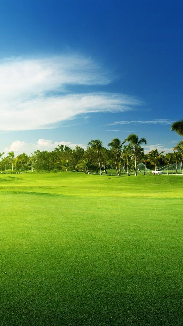 塞尔达传说旷野之息精美手机壁纸,王鸥精美手机壁纸