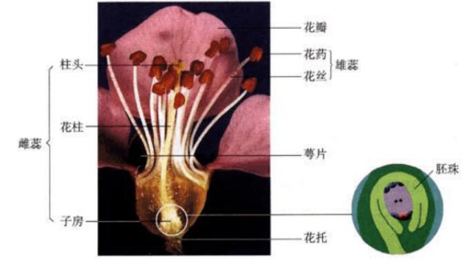 2018中考生物知识点总结（图文并茂），喜欢的朋友记得收藏或转发