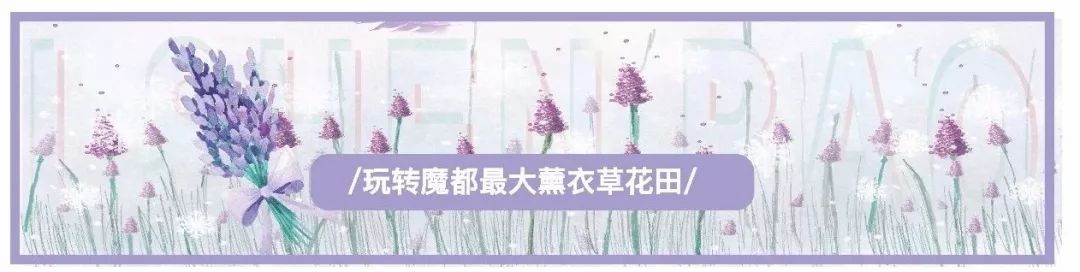 今朝上海｜外卖点了3杯喜茶，结果喝出“套套”，门店、饿了么均称：不是我干的！