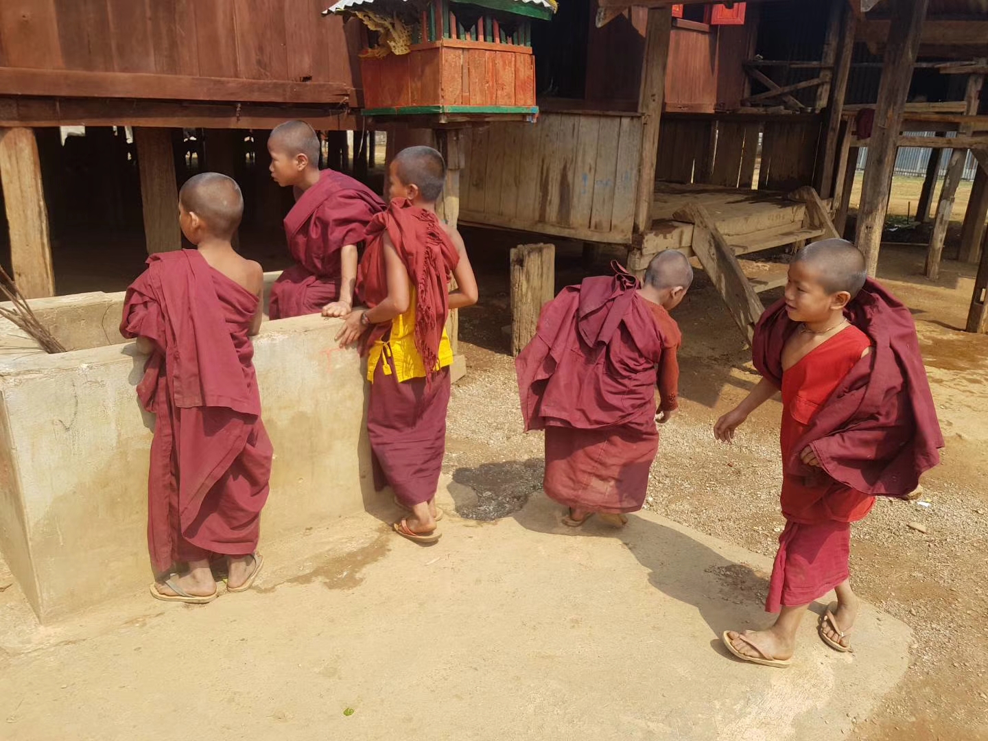 缅北做茶叶,缅北茶叶能喝吗