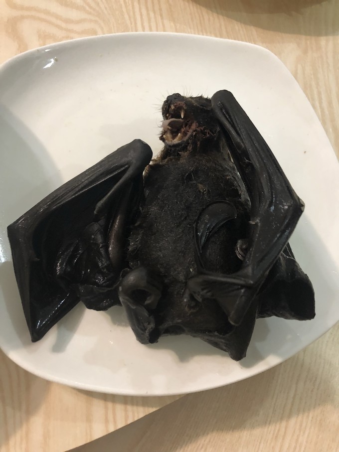 帕劳的海景风光给人美的享受,帕劳的海洋和沙滩风景图片