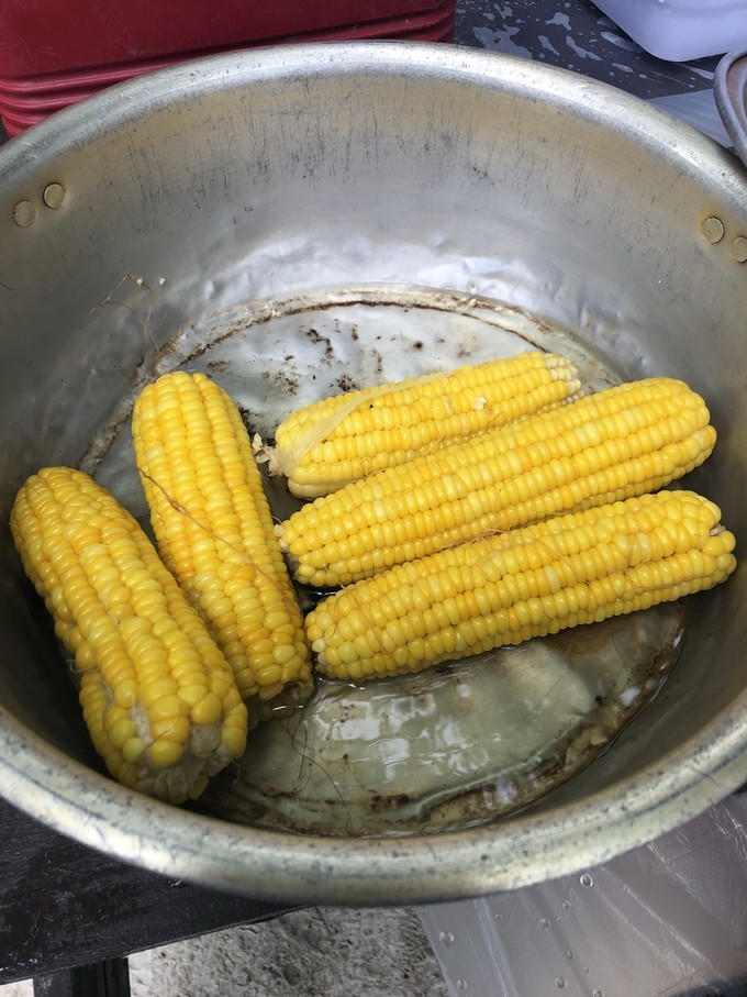 帕劳的海景风光给人美的享受,帕劳的海洋和沙滩风景图片