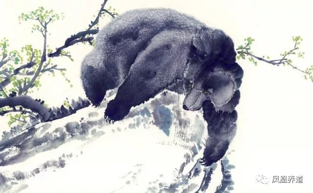 小长假又吃多了怎么办？简单两招帮您消食健脾胃