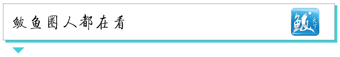 年关将至警方提醒电信诈骗,过年派出所电信诈骗提示