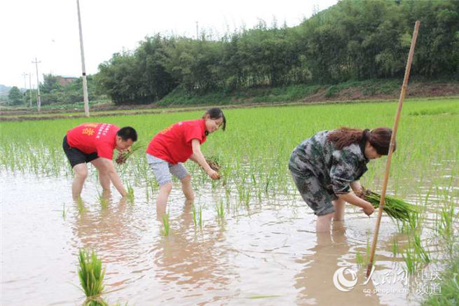 农村村官带村民致富,80后女村官