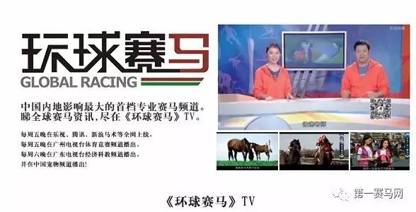 七夕到了单身狗报告,七夕快到了依然是单身狗