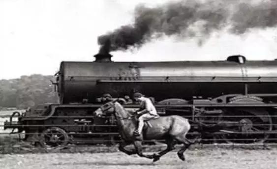 猫眼看世界看的是什么,猫眼观世界英国