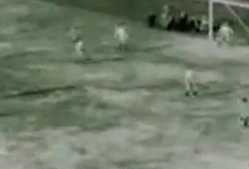 1930年乌拉圭世界杯,1930年第一届世界杯