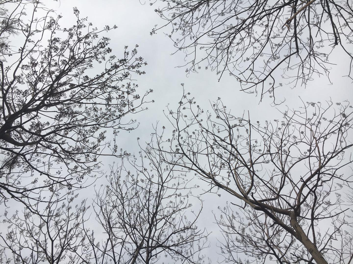 邳州土山镇大事件,邳州发生什么大事