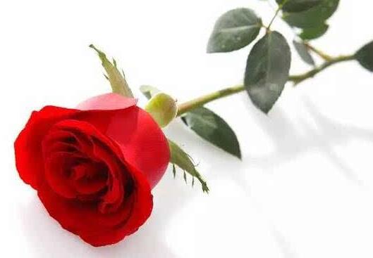 厦门环岛路游玩要带多少钱 (厦门环岛路游玩攻略大全)