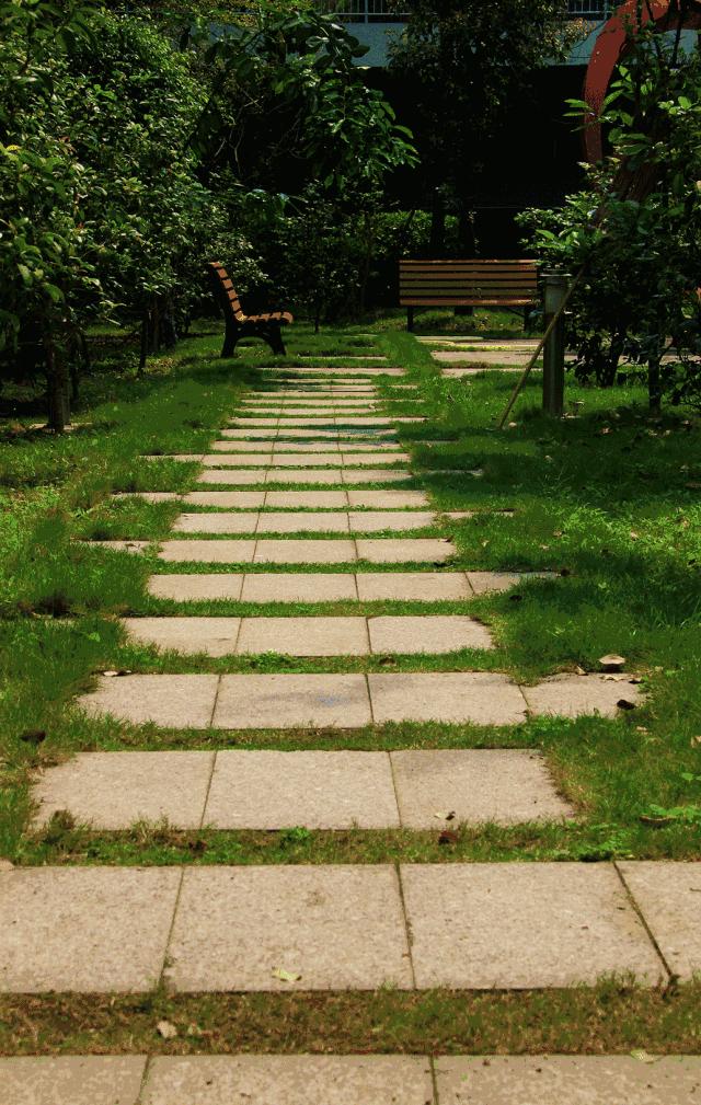 华侨城中学在哪里,华侨城中学口碑怎么样