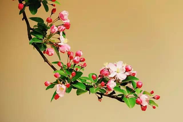 支付宝能贷小额贷款吗,支付宝信用贷借款平台