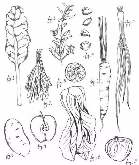 有了画画模板该怎么画,新手比较适合的画画教程