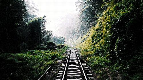 这趟高铁列车上的美食全国独有,渝贵高铁沿途风景