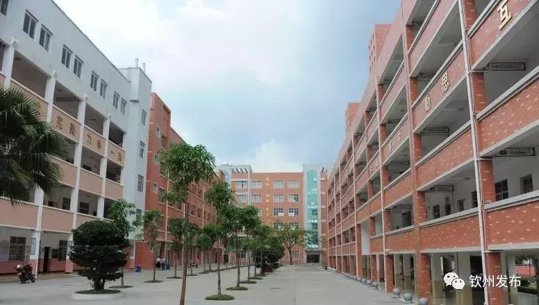 网眼看视界,网眼看钦南