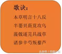 药食同源保健茶,药食同源四季养生茶