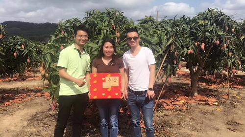 乡村振兴电商助农新闻稿,农民电商惠农助力乡村振兴