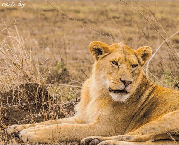 您所不了解的更年期女人……