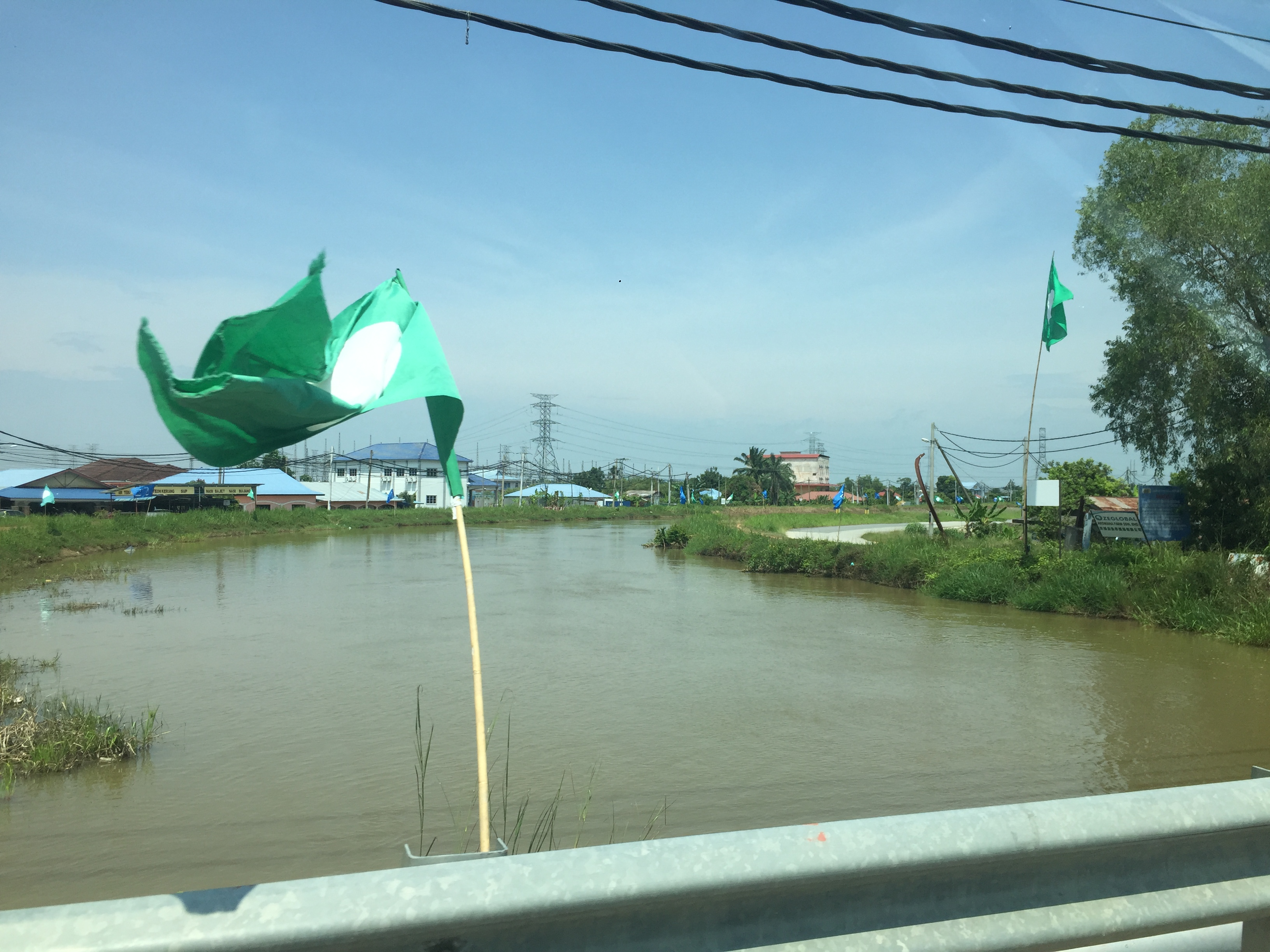 过背金龙是什么意思,过背金龙和高背金龙的区别