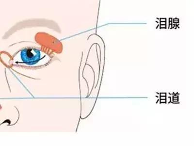 早上起床眼屎多，你知道不同的眼屎说明什么问题吗？