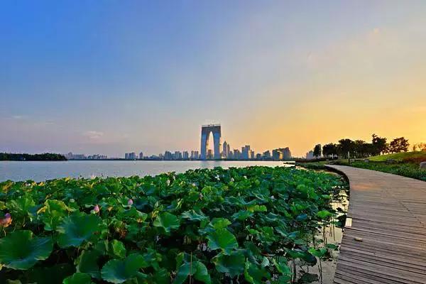 鑻忓窞璺戠敺,璺戠敺鑻忓窞浜哄北浜烘捣