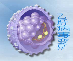 恩替卡韦有哪些不良反应？长期用药需注意什么？