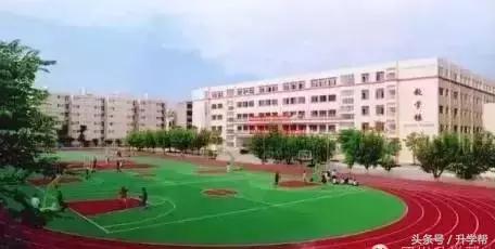 起底“德瑞系”——成外、实外、实外西区三校大比拼！