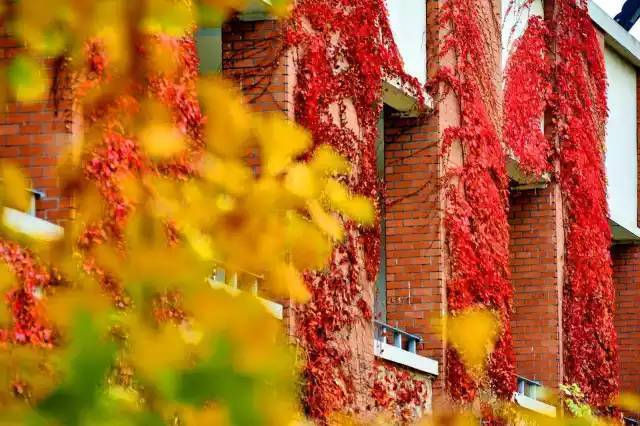 成都冷知识老字号,成都历史最悠久的学校