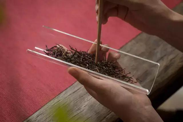 作为口粮茶哪款金骏眉好喝,金骏眉茶毫越多茶越高档吗