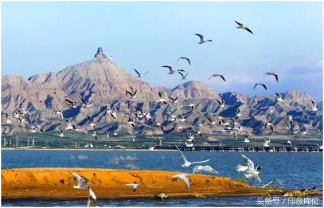 中国新歌声第三季海选赛区,中国新歌声第二季总决赛投票