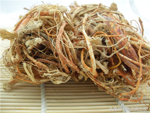 喝它煲的汤，饭也吃多几碗！带叶时你或许认识它，不带时可能懵了