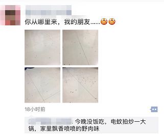 骞夸笢鏆撮洦鑲囧簡闃茬┖璀︽姤,鑲囧簡骞垮畞鏆撮洦琚嚮