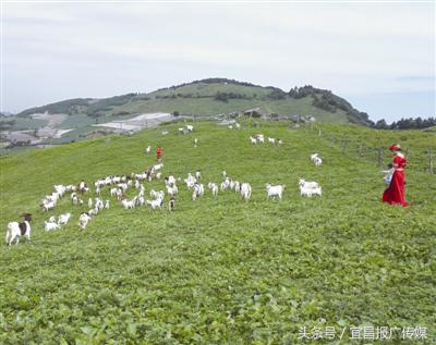 清江长阳旅游线路推荐一下,游长阳清江画廊