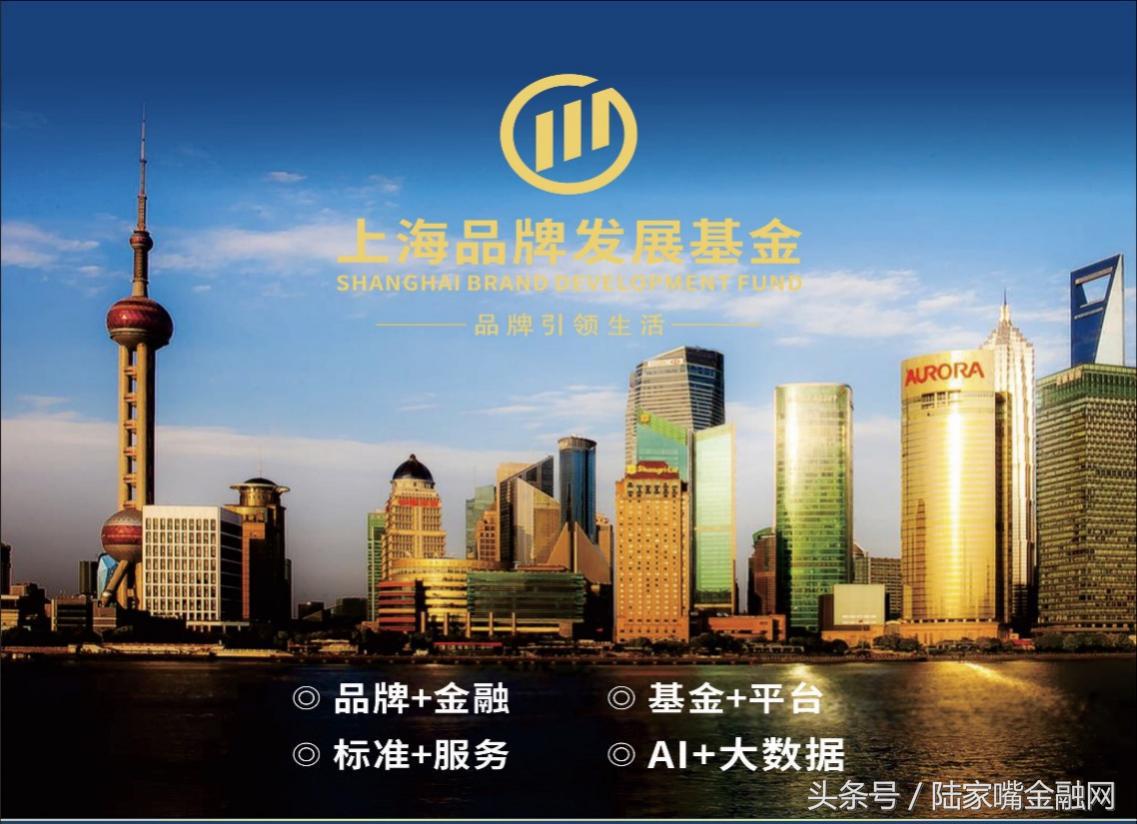 上海首支元宇宙产业基金,上海品牌发展基金