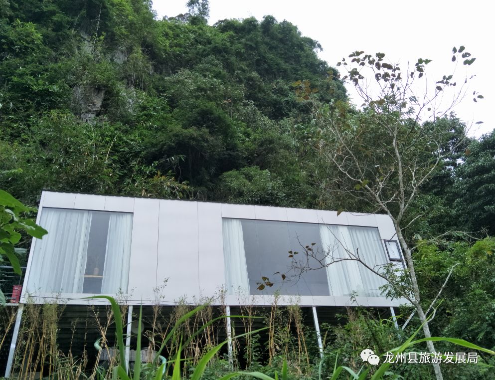 来上犹我养你高清图片,来武平我养你