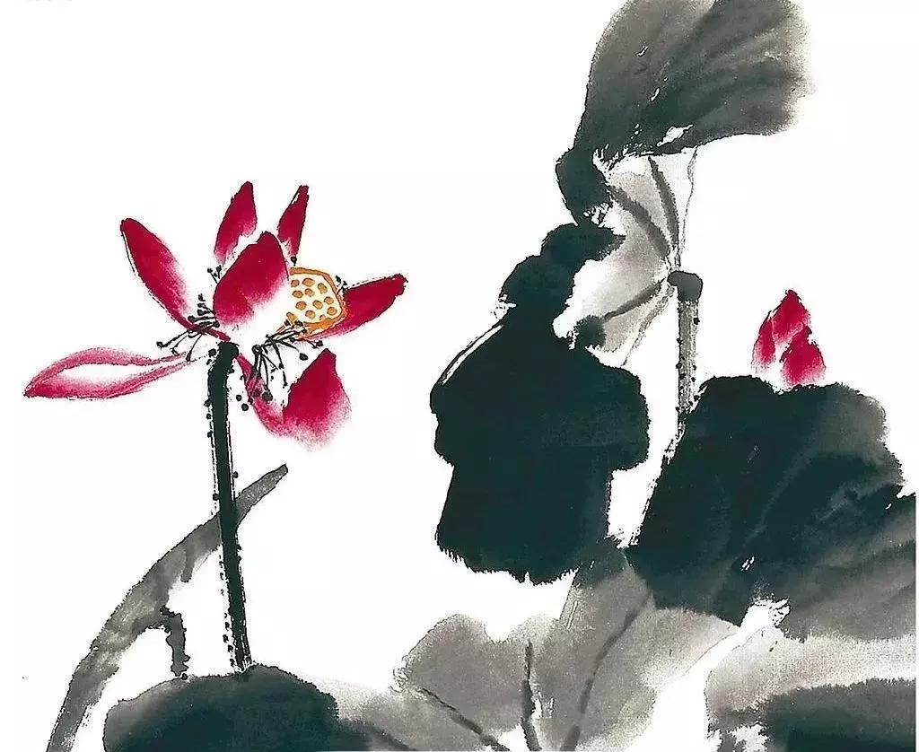 莲子古诗,有关莲的古诗100首