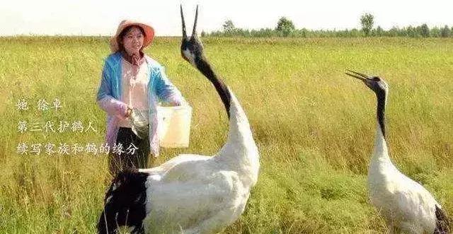 朗读者初心文字版,朗读者致敬初心台词