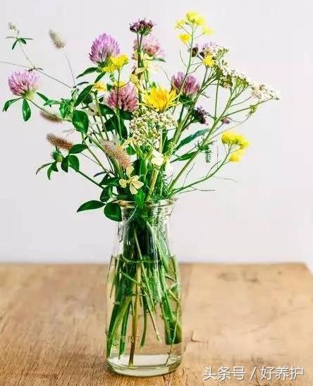 插花干货,值得收藏的插花