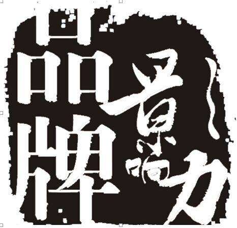 史光起：如何打造“品牌影响力”？