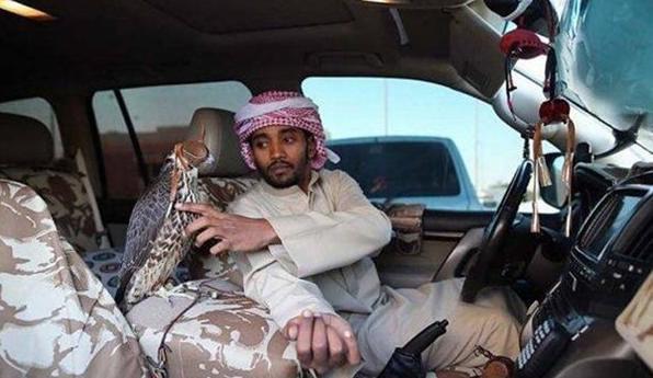 中东土豪的宠物狮子老虎,中东土豪为什么喜欢老虎狮子宠物