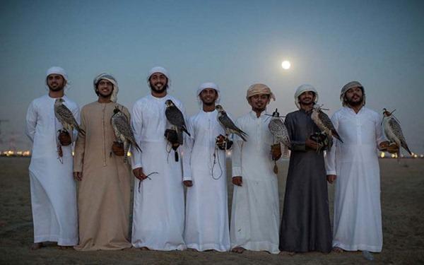 中东土豪的宠物狮子老虎,中东土豪为什么喜欢老虎狮子宠物