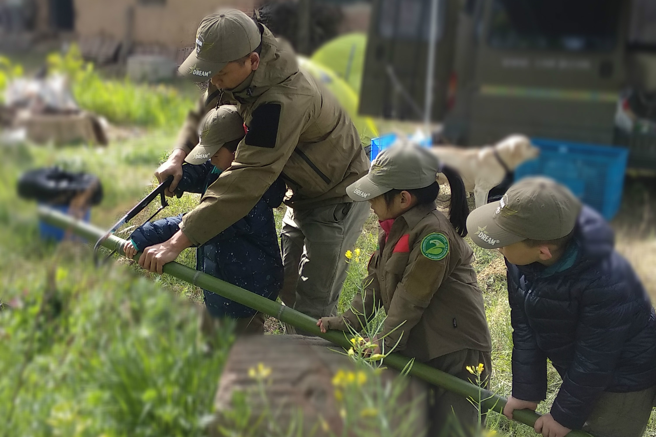 如何让孩子爱上学习学得更好,体验式学习