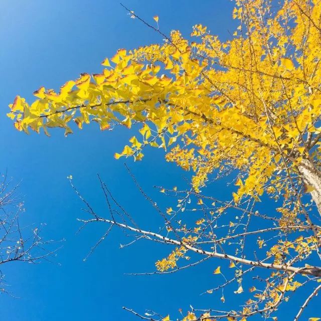 直供瓷器哪里最便宜 (直供瓷器)