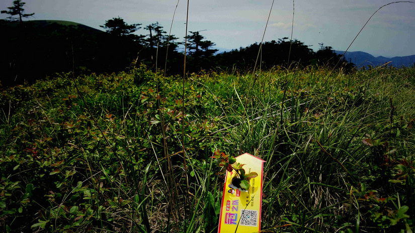 天华山-秦岭梁，又一条风景秀美的一日劲走线路