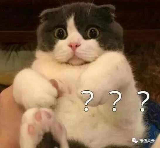 东北电气还能重新上市吗,a股不分红股票长期持有没意义